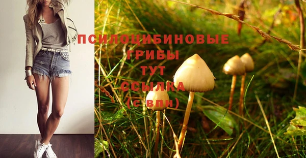 mdma Переславль-Залесский